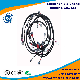 Automotive Medical Industrial Wire Harness with Different Size