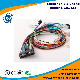 AMP/ Molex / Amphenol Connector Cable Assembly