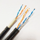 China Supplier 1pair Messenger Cat3 Copper Conductor Drop Wire manufacturer