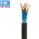 Pure Copper Alarm Flexible Cable High Quality Rvv 10 Core PVC Insulation PVC Jacket Insulated 3 Cores 2core 4core Alarm Cable