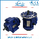  High Voltage 3kv/6kv Three Phase Asynchronous AC Induction Electric Motor