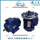 High Voltage 3kv/6kv Three Phase Asynchronous AC Induction Electric Motor