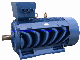 Ie1 Ie2 Ie3 Low Voltage High Power Asunchronous Electric Motor manufacturer