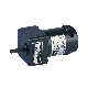 Brushed DC Electric Worm Geared Reduction Motor with Encoder