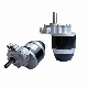  120rpm 160rpm 75rpm Hot Sale DC 24V 250W Electric Vehicle Motor