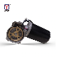 Turbine Generator Low Speed Low Rpm Metal Geared Motors Mini Electric DC Motor 12V 24V manufacturer