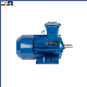 Ybx3 Series Ybx3-180m-4-18.5kw Industrial Explosion-Proof Three-Phase Asynchronous Motor Electric Motor with CE