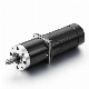 24V 70W Reducer Motor with Gearbox Low Rpm DC Brushless Planetary Gear Motor