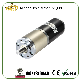  Motor for Sale 52mm 12V 24V DC Electric Motor Low Rpm