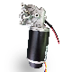 12 Volt DC Motor Hall Sensor Worm Gearmotor for Lifting Machine manufacturer