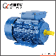  CE Approved Double Capacitor Single Phase Induction Motor AC Motor Electric Motor (YC YL YY MY ML)