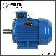 Y2 Ye2 Ie1 Three Phase Water Pump Air Compressor AC Asynchronous Induction Electric Motor