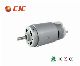 Guangdong High Quality Electrical PMDC Brush DC Motor for Commercial Blender/Vegetable Chopper/Vegetable Chopper