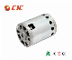  220V Electric PMDC Permanent Magnet Motor for Coffee Machine/Blender/Juicer Blender