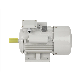  Chinense CE Approved 110V 220V 240V 50Hz 60Hz IP54 B3 B5 B14 Flange Yc Capacitor Start Single Phase Induction Electric Motor Ycl (0.5HP-10HP) 20%