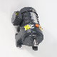 750W 28 Shaft Horizontal AC Gear Reduction Motor Speed Reducer Geard Motors