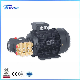  2.2kw 7.5kw 11kw 15kw Hollow Shaft Motor for High Pressure Washer
