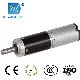  22mm Micro DC Planetary Transmission Gear Electric Motor