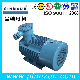  Yb3 Atex Iecex Explosion Proof High Effciency Coal Mine Mining Three Phase AC Induction Asynchronous Electric Motor