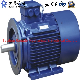 Russia GOST Standard Series Three Phase Motor Induction Motor