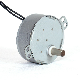 Good Price of  Electrical Synchronous Motor 4W for CCTV Monitor