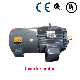  Three -Phase Different Step Motor Copper Wire Winding/High -Speed Main Shaft Inverter Motor