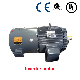 Three -Phase Different Step Motor Copper Wire Winding/High -Speed Main Shaft Inverter Motor