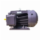 Siemens Three Phase AC Electric Motor High Efficiency Electrical Motor for Industry