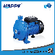 Basic Customization Surface Presssure Electric Centrifugal Water Pump (CPM-2)