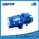  Peripheral Self-Priming Submersible Jet Electric Water Pump (JSP)