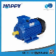 Cast Iron Happy Carton Case CE, ISO9001 Electrical Three-Phase Motor