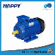  Single-Stage Cast Iron Happy Carton Case Submersible Water Pump Motor