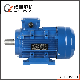 Ye2 Series Ie2 3 Phase 10HP 15HP 20HP 30HP 40HP 50HP 60HP 75HP 100HP AC Induction Electric Motor