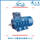 Y2 315kw High Efficiency Machinery Three Phase Induction Asynchronous Motor