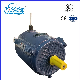  Ysf3 Series Three-Phase Induction Asynchronous Motor for Water Pump