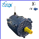 Ysf3 Series Three-Phase Induction Asynchronous Motor for Water Pump