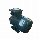 Double Speed Electric Motor- Multi-Speed Electric Motors manufacturer