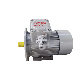  Aim-280 Exdiibt4 GOST Standard Motor