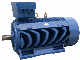  Y2-500 Big Output Three Phase Inducton Motor (380V, 660V, 1140V)