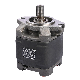 Hydraulic Internal Gear Pump with Sumitomo Used for Injection Molding Machine