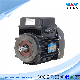  Three Phase Electric Motors for Fire Pump Application