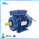  0.37kw Cast Iron Aluminum Single Phase Electric Motor 2pole