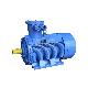 Anti Explosion Proof Electrical Engine High Low Voltage Flameproof China Manufacturer Price AC Electric Motor