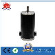  DC Motor Electric Motor 12V 0.4n. M 92W Permanent Magnet 2200rpm 9A