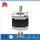  110BL3A230-31033 DC Motor Electric Motor Low Voltage DC Motor BLDC Motor/Brushless DC Motor