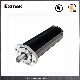 Solar Panel Electric Motor DC Gear Motor (SG080GB)