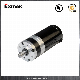  Low Speed 24VDC Power Window Motor with Planetary Gearbox