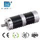 56mm BLDC Precision Planetary Gear Electric Motor