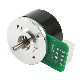  24V 48V Outer External Rotor Round Brushless DC Motor with Encoder 42mm