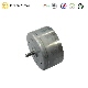  DC Small electric Motor of Od24.4mm for Mini Fan
